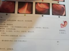 -上海市东方医院(总院)