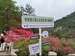 -木兰云雾山