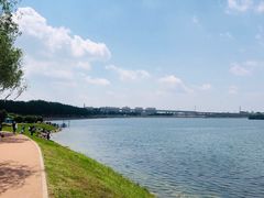 -丁香湖公园