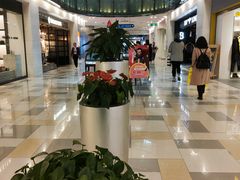 -鹏欣水游城