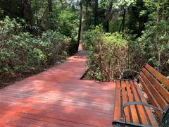 -铁山坪森林公园