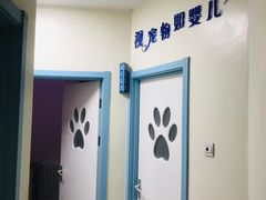 -全心全意连锁动物医院·微创中心·内科急重症·心脏专科(丰管路店)