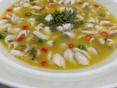 -青花椒花椒鱼(合生汇店)