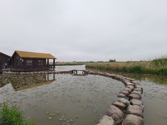 -宁波杭州湾国家湿地公园