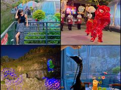 -邑家人·山水四合院