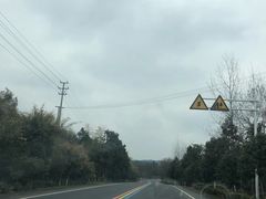 -天目湖涵田半山温泉