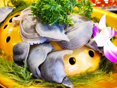 -一斗火锅·招财羊毛肚(北温泉九号店)