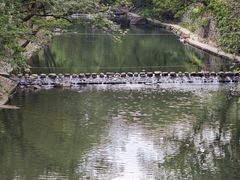 -鹿亭中村