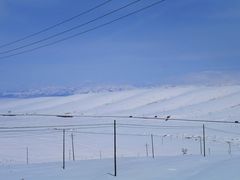 景点-祁连山草原