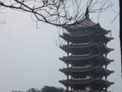 -缙云山景区