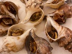 -荣誉海鲜酒楼(海湾店)