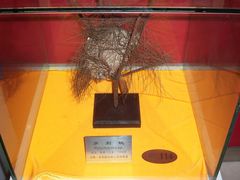 -上海昆虫博物馆