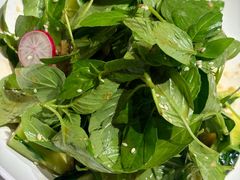 -解家河南菜(金水路店)