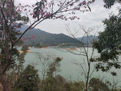 -广州市流溪河国家森林公园