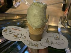 -野人先生现做冰淇淋(北京顺义祥云小镇店)
