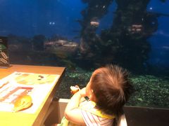 -涛·海底餐厅·美人鱼·自助餐·海底隧道(三亚海棠湾洲际度假酒店)