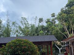 -碧水湾温泉