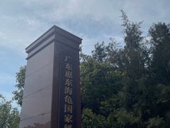 -广东惠东海龟国家级自然保护区