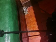 -星伦多 自助料理(圆融店)