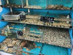 -北戴河庆山饭店·海鲜砂锅粥(北戴河黑石路店)