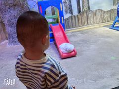 -芜湖新华联大白鲸海洋公园