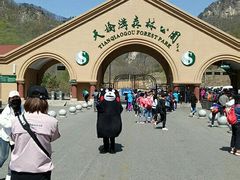 -丹东天桥沟景区