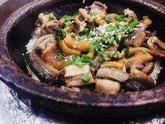 -红星光发煲仔饭(大石街店)
