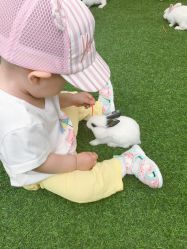 -萌宠亲子动物乐园(槐房万达店)