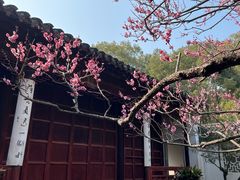 -雨花胜境