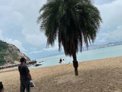 -鼓浪屿内厝澳码头(轮渡站)
