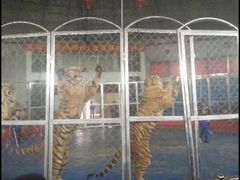 -西安秦岭野生动物园