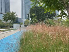 -怡海公园(桂城街道)