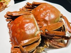 -沐屿新集(上海店)