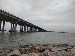 -宝安西湾红树林湿地公园