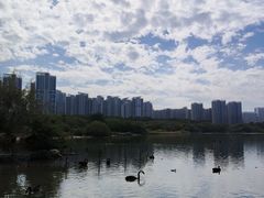 -五缘湾湿地公园