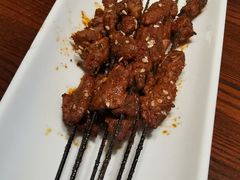 生烤羊肉串-沙力海(北大街店)