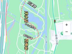 -上海滨江森林公园