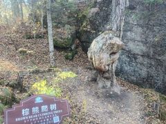 -汤旺河林海奇石景区