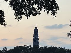 -顺峰山公园