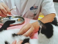 -宠颐生宠物医院·心肾内科·猫专科诊疗中心宠巢店
