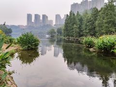 -重庆彩云湖湿地公园