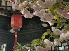 -无锡梅园公园