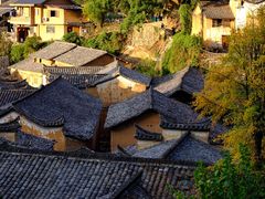 -杨家堂村