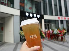 千杯不醉啤酒金凤-杯欢制茶(三里屯店)
