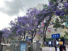-南屏步行街