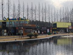 -黄海国家森林公园