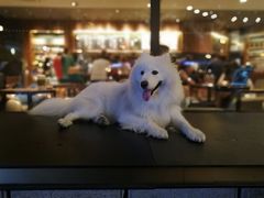 -桂桂茶(金谊广场店)