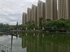 -湖边烧鸭