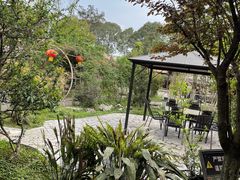 -胖大姐黄辣丁鱼庄(新津店)