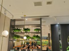 -刘胖子家常菜·蹄花焖藕(中南店)